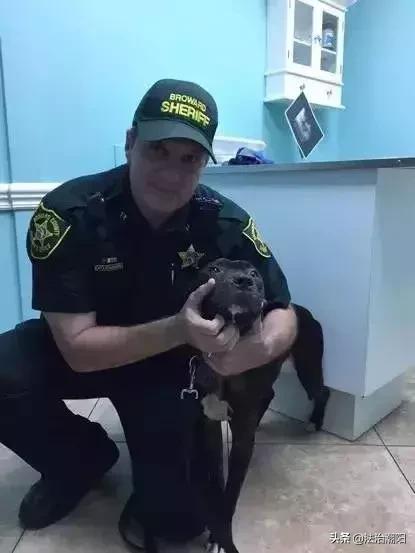 闻毒品味会有危害吗,闻毒品气味算吸毒吗