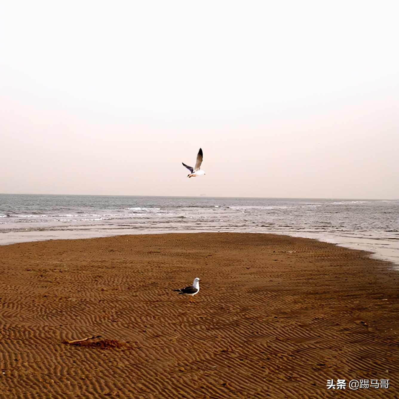 阿那亚必打卡地,阿那亚网红打卡地