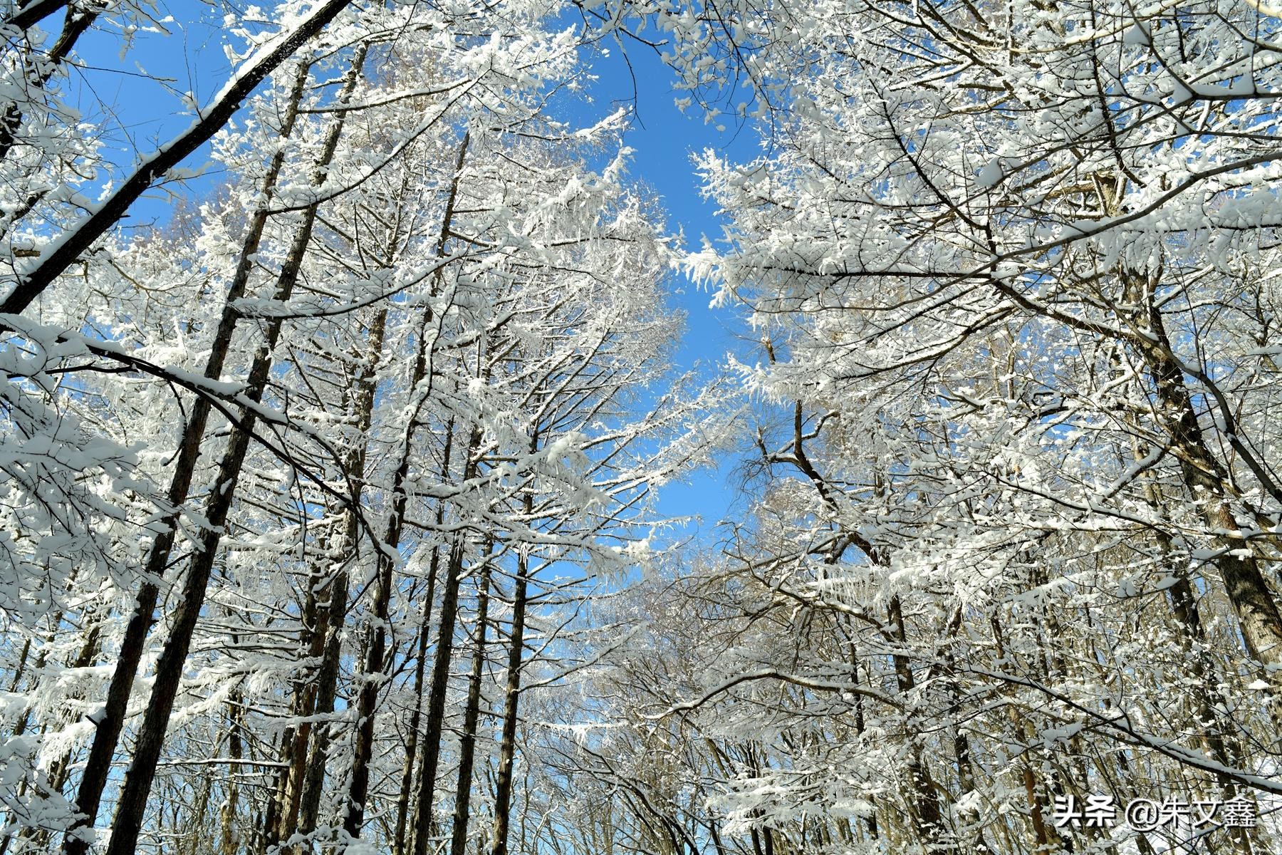 吉林柳河下雪,吉林省通化市柳河