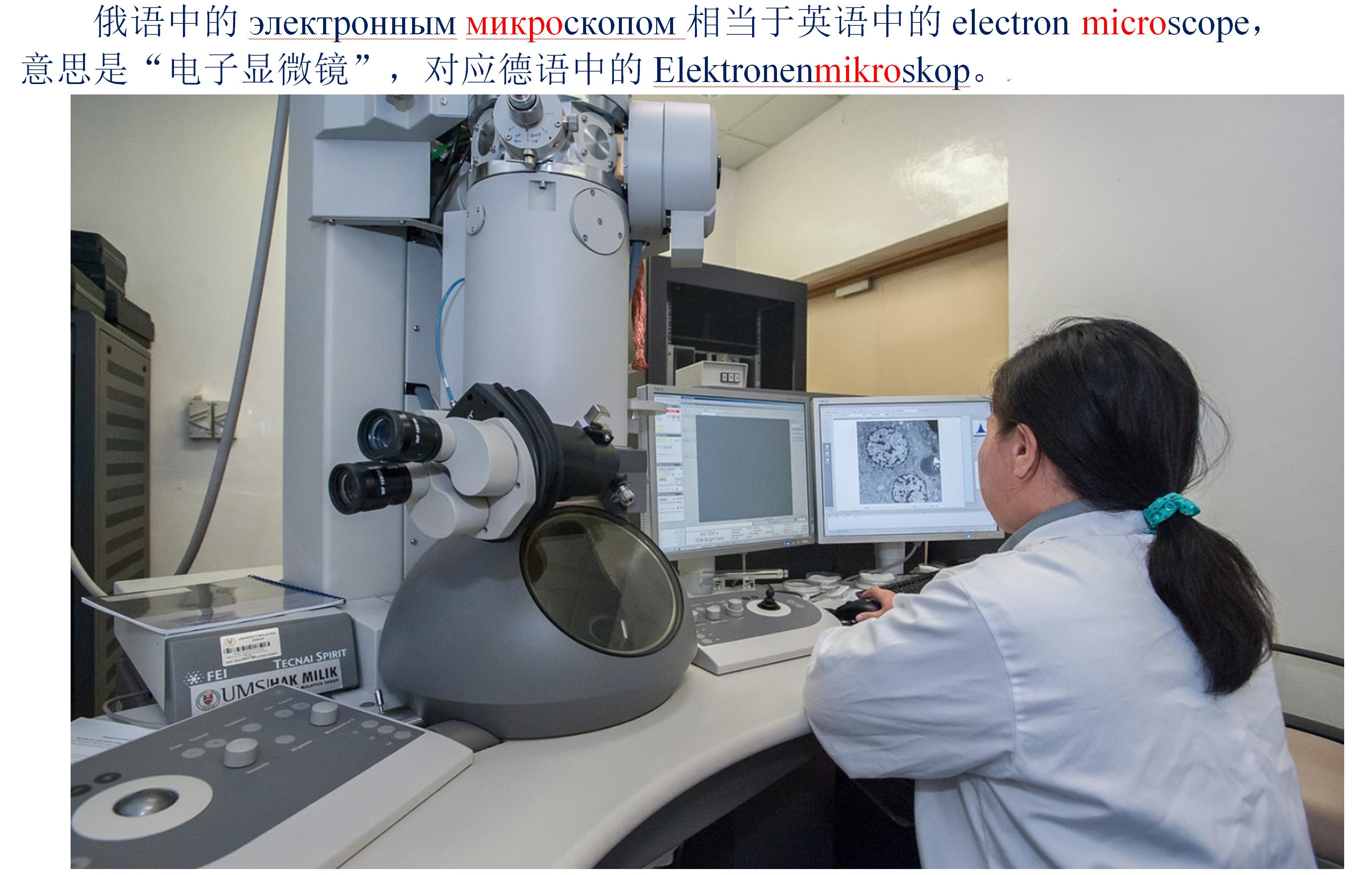 家长自习室：从英语角度看新冠状病毒