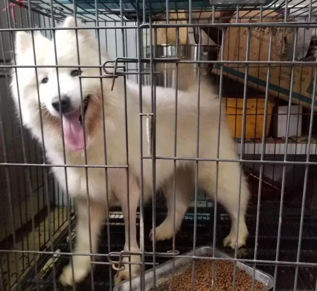 微笑天使正能量,微笑天使蕾蕾