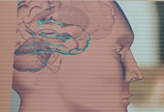 如何开发自己的右脑潜力,右脑人如何培养右脑