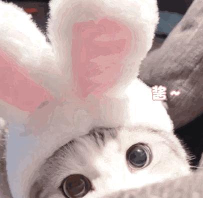 百元国货精华,国货最便宜的精华