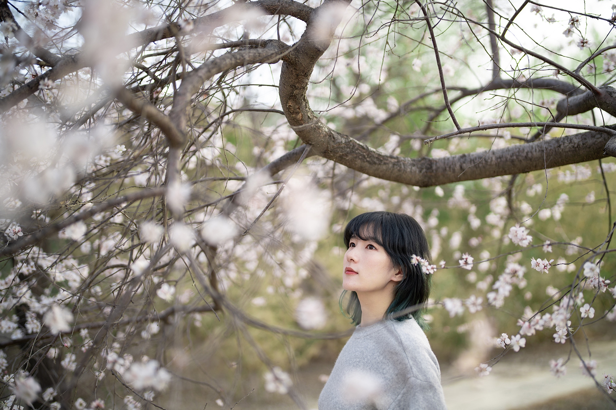 索尼fe50mmf1.2gm拍人像,索尼全画幅fe24mmf1.4测评