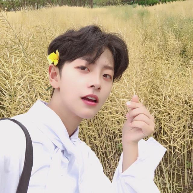 欧美帅气女星短发,欧美女星短发大全