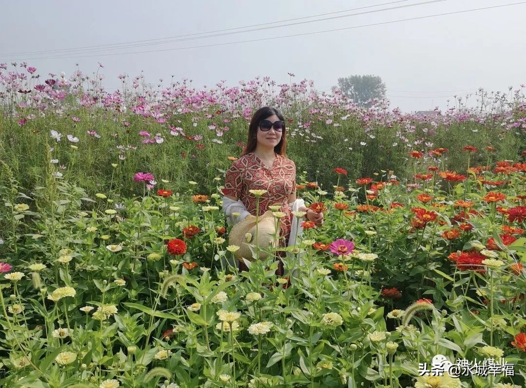 采煤塌陷地变身湿地公园,采煤沉陷区变身绿色公园