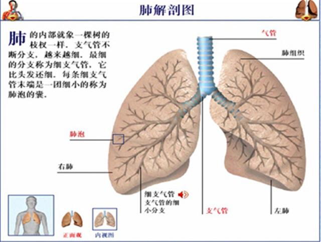 吃猪血能清肠胃吗,吃猪血能清肠通便吗