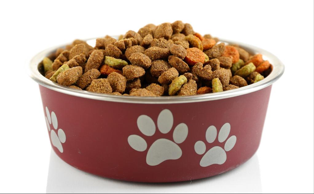 泰迪犬吃哪种牌子的狗粮好,泰迪犬一般吃什么狗粮比较好