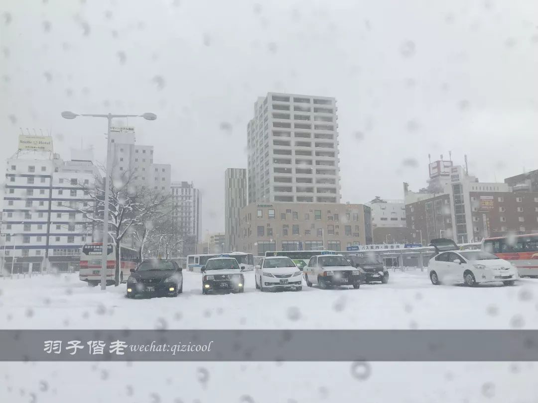 老实说,这一趟北海道就是为了拍好看的照片去的