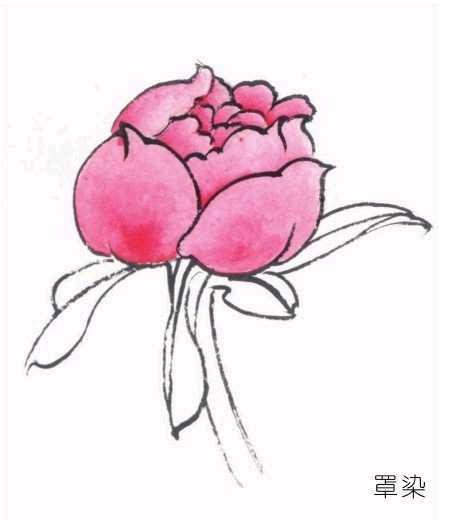 工笔画染染的正确方法,工笔画的分染步骤与技巧知识