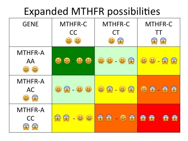 同型半胱氨酸高需查叶酸代谢 (同型半胱氨酸高需要做叶酸检测吗)