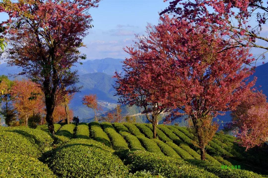 五一这样拼假可连休9天,快来看五一放假四天最全拼假攻略