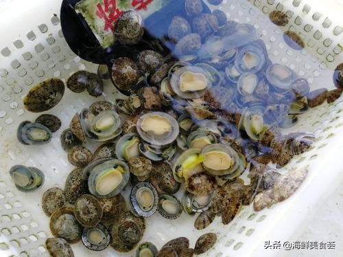 最好吃的海鲜城市排名,沿海城市海鲜又便宜又好吃