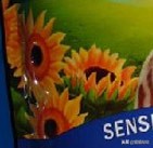 深扒不同国家的40款猫粮,深扒醇粹猫粮