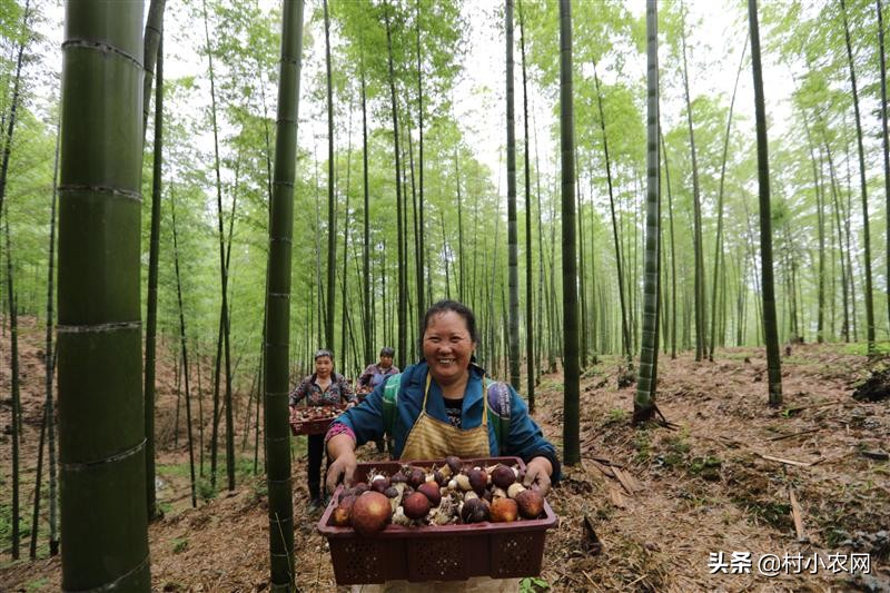 怎么创业做煎饼店铺赚钱,创业小白做山东杂粮煎饼能赚钱吗