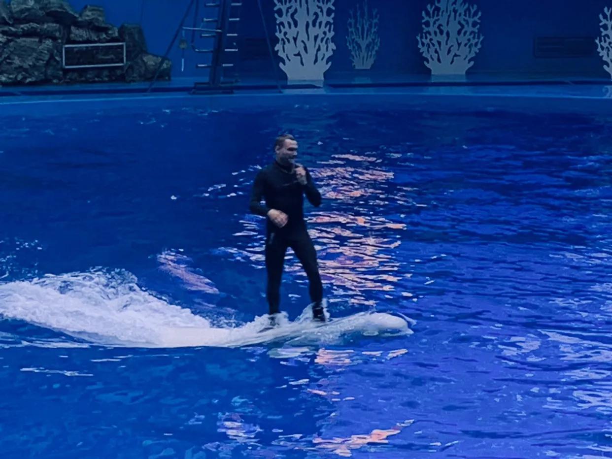 海参崴艺术表演,海参崴歌舞表演与风情表演的区别