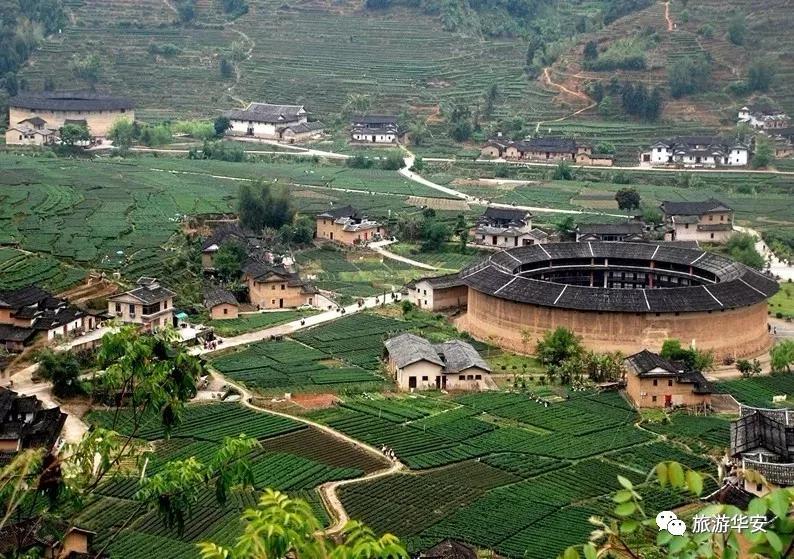 春风十里不如你，我在华安等着您