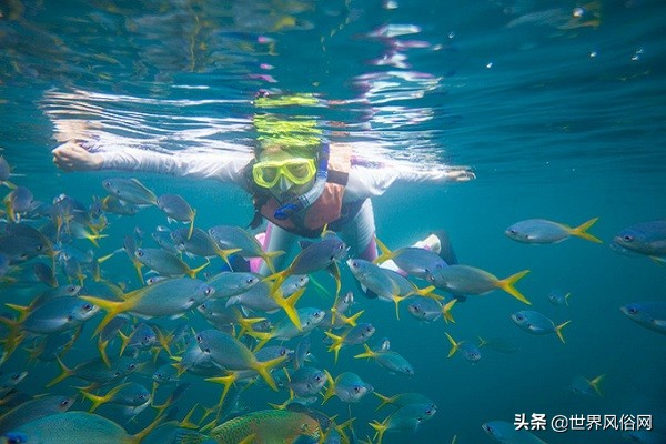 漫漫浪帕劳旅游,帕劳旅游酒店价格表