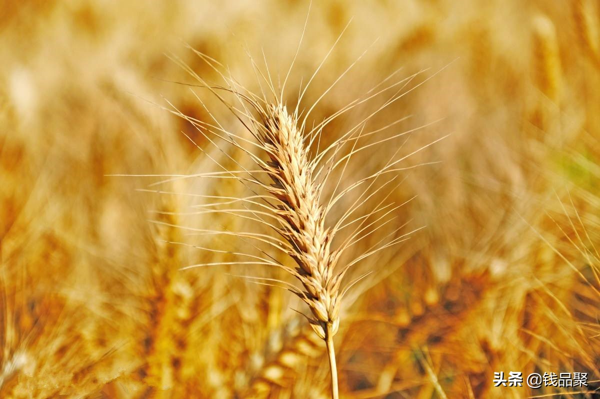 战场上神操作,战场上的神操作