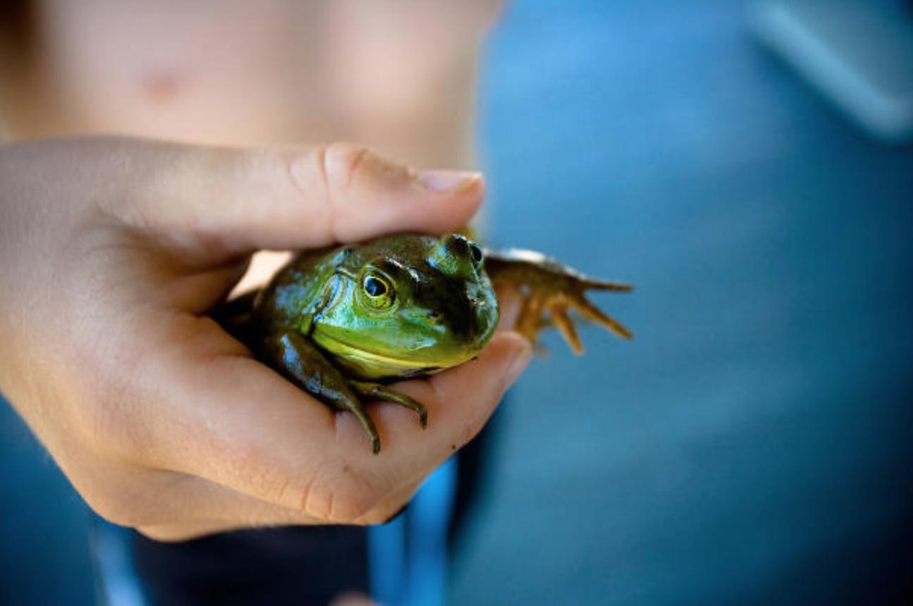 你不会相信但确实存在的世界奇观,你不会相信的几个世界未解之谜