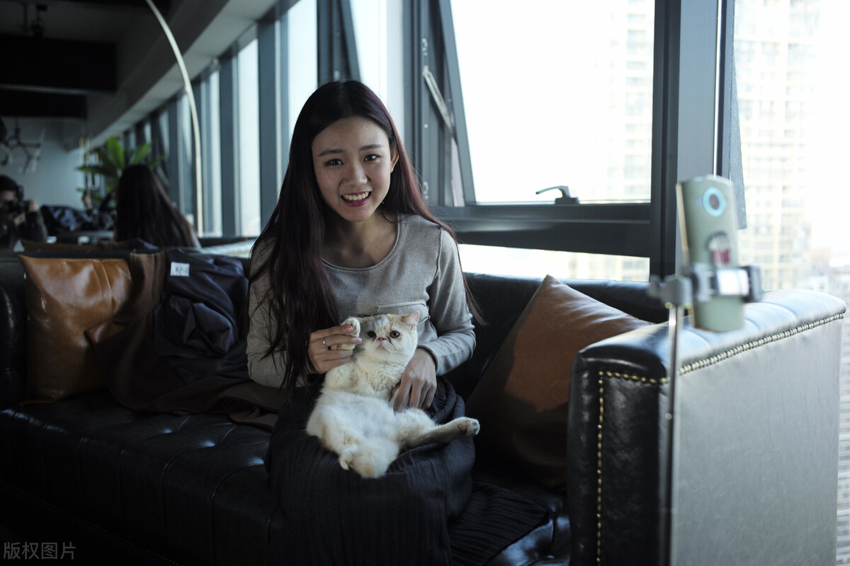 厦门顶级猫街介绍,厦门猫街值得去吗