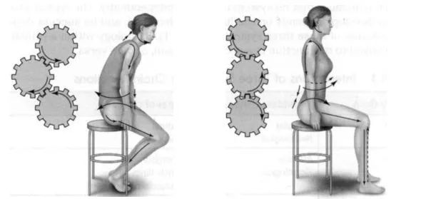 瑜伽九大关节屈伸,瑜伽如何提高身体灵活度