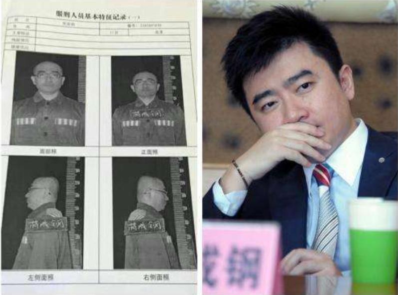 央视主持芮成钢，曾是高考状元世界红人，为何会沦为“阶下囚”？