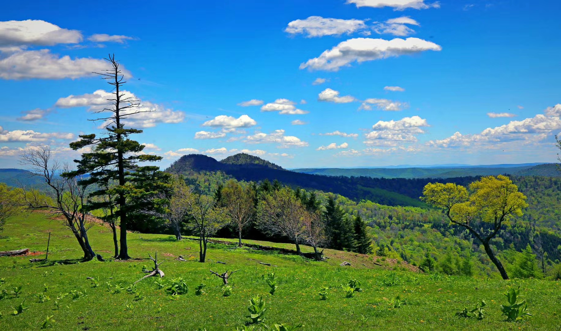 康熙一生巡访几次,康熙帝三次亲征的路线