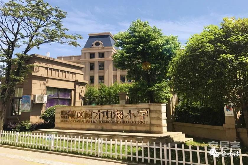 升学班优势,长沙博才集团小学排名