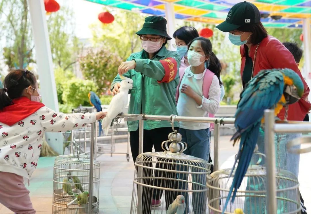 安全出行宝典,北京安全出游好去处