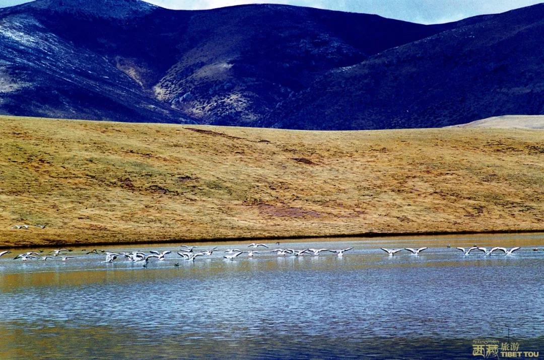 钘忎笢鏄庣彔鏄岄兘瑙嗛,鏄岄兘涓轰粈涔堝彨钘忎笢鏄庣彔