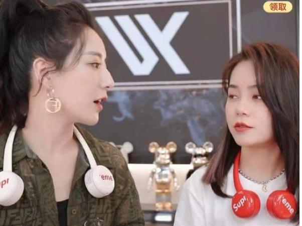 薇娅售假后续,薇娅侵权事件