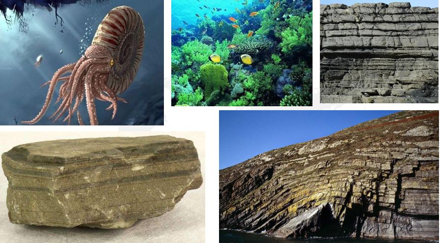 原油期权与原油期货,原油期货跟原油价格区别