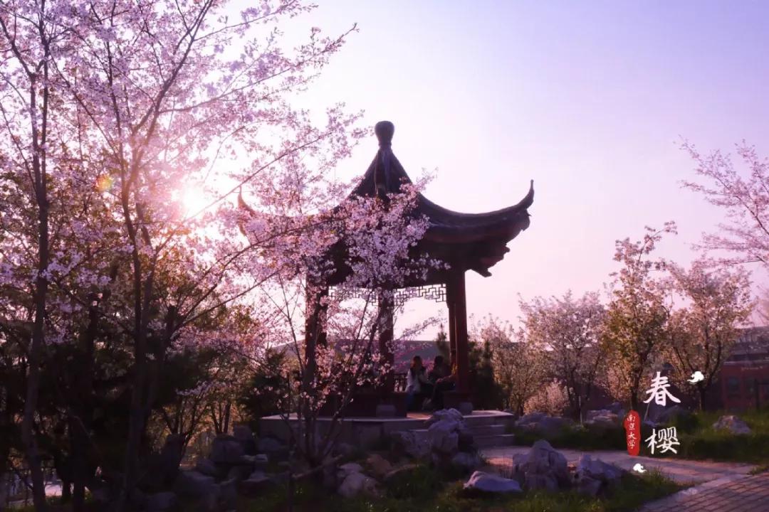 江苏一高校,江苏省四大高校