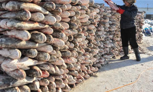 东北全鱼宴 (东北最正宗的全鱼宴)