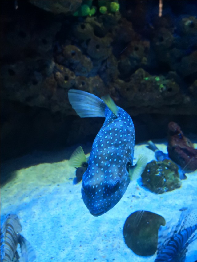 北京工体富国海底世界周一营业,北京工体富国海底世界旅馆