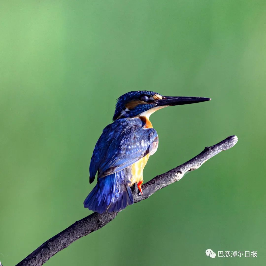 巴彦淖尔五一去处,巴彦淖尔市端午小长假适合去哪玩