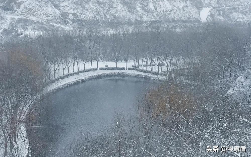 郑州商学院2024招生简章分数线,郑州商学院2024招专科吗