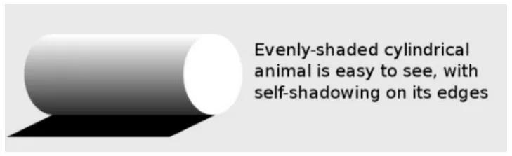 非洲大地最狂动物，动物园里连狮子毒蛇都有，偏偏没有它平头哥