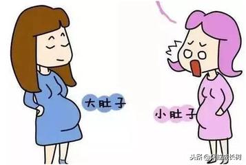 b超单显示后壁是前怀还是后怀,b超单上写了前壁是什么意思