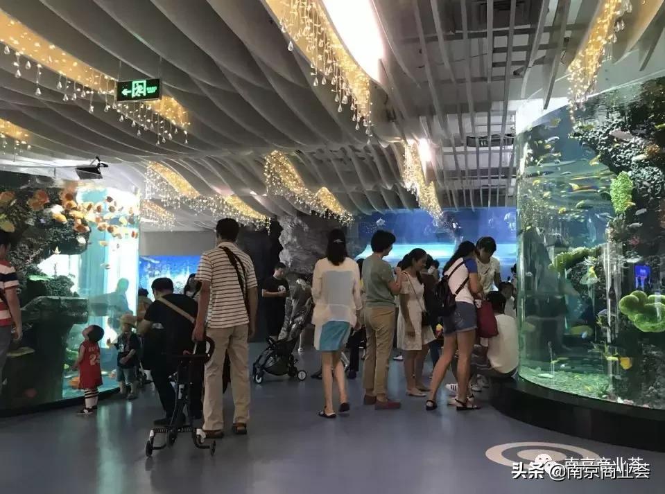 2019中国年度影响力购物中心,2019购物中心百花奖