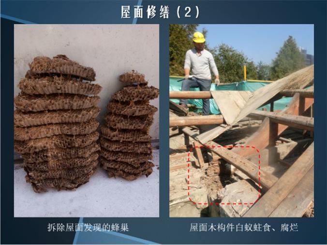 为什么我们要花大力气修复陈望道旧居？