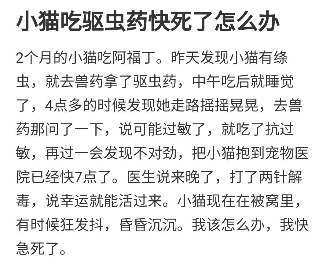 猫吃完药之后吐白沫是什么原因,猫吃完药吐白沫正常吗