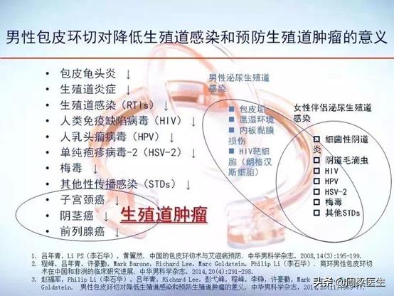 男性生殖道人乳头瘤病毒感染对生育力和胚胎发育的影响及其预防