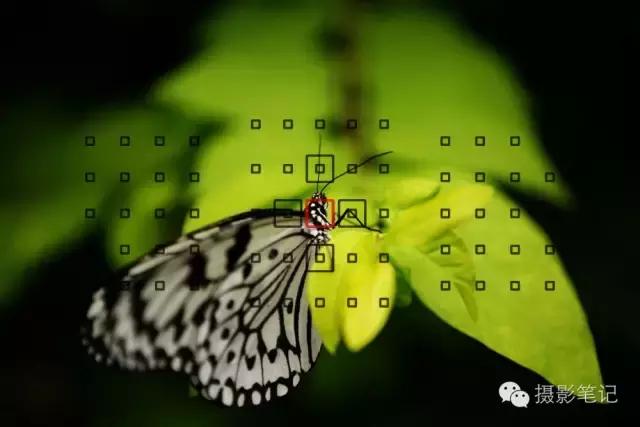 手把手教你成为摄影师,一步步教你做视频剪辑师