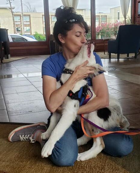 有一只性格超好的小狗是什么体验,养一只小狗小狗会觉得孤独吗