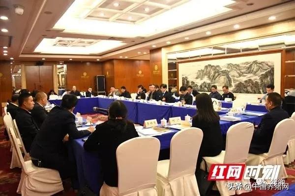 怎样养好猪用什么饲料,如何养好猪视频