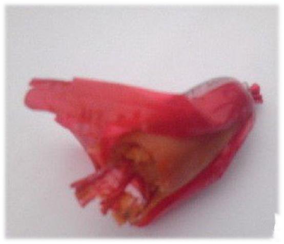 品质管理的前景,品质管理行业有前途吗