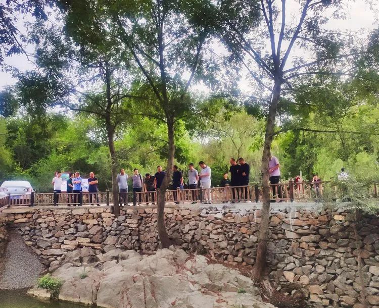 济南申请加入“大乱斗”!@理塘丁真,你的珍珠……泉在这里!