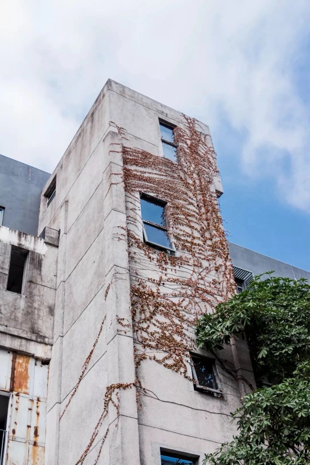 深圳10大旅游好去处,深圳盐田区周末休闲浪漫好去处